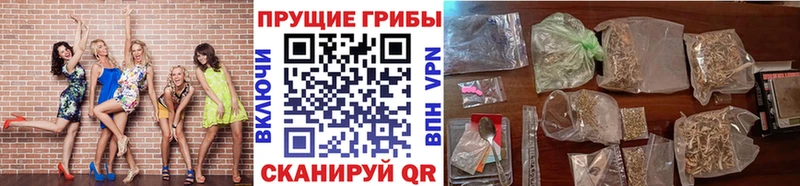 Галлюциногенные грибы Magic Shrooms Нелидово